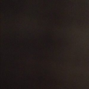 Meet your Posher, Leonard